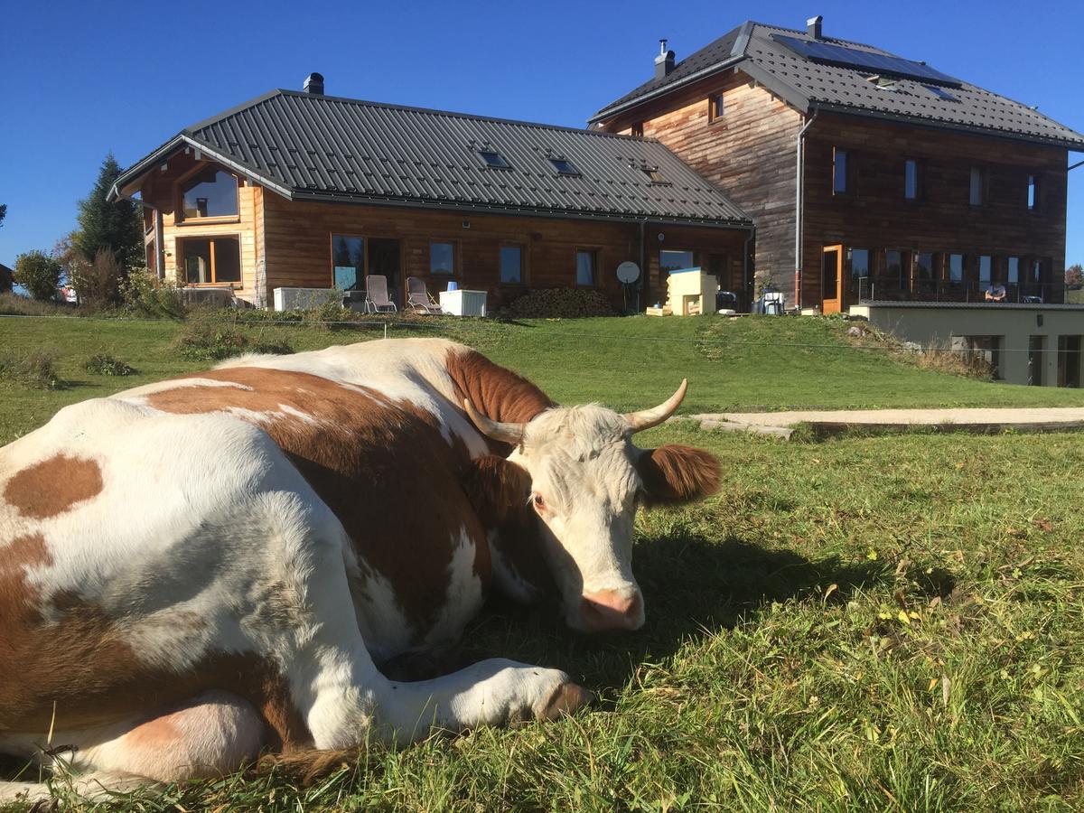 La Maison Des Inuits Hotel Septmoncel-Les-Molunes Buitenkant foto
